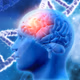 Article: Low Testosterone Increases Risk of Alzheimers