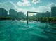 Article: Moving Goal Posts: Testosterone Reference Ranges
