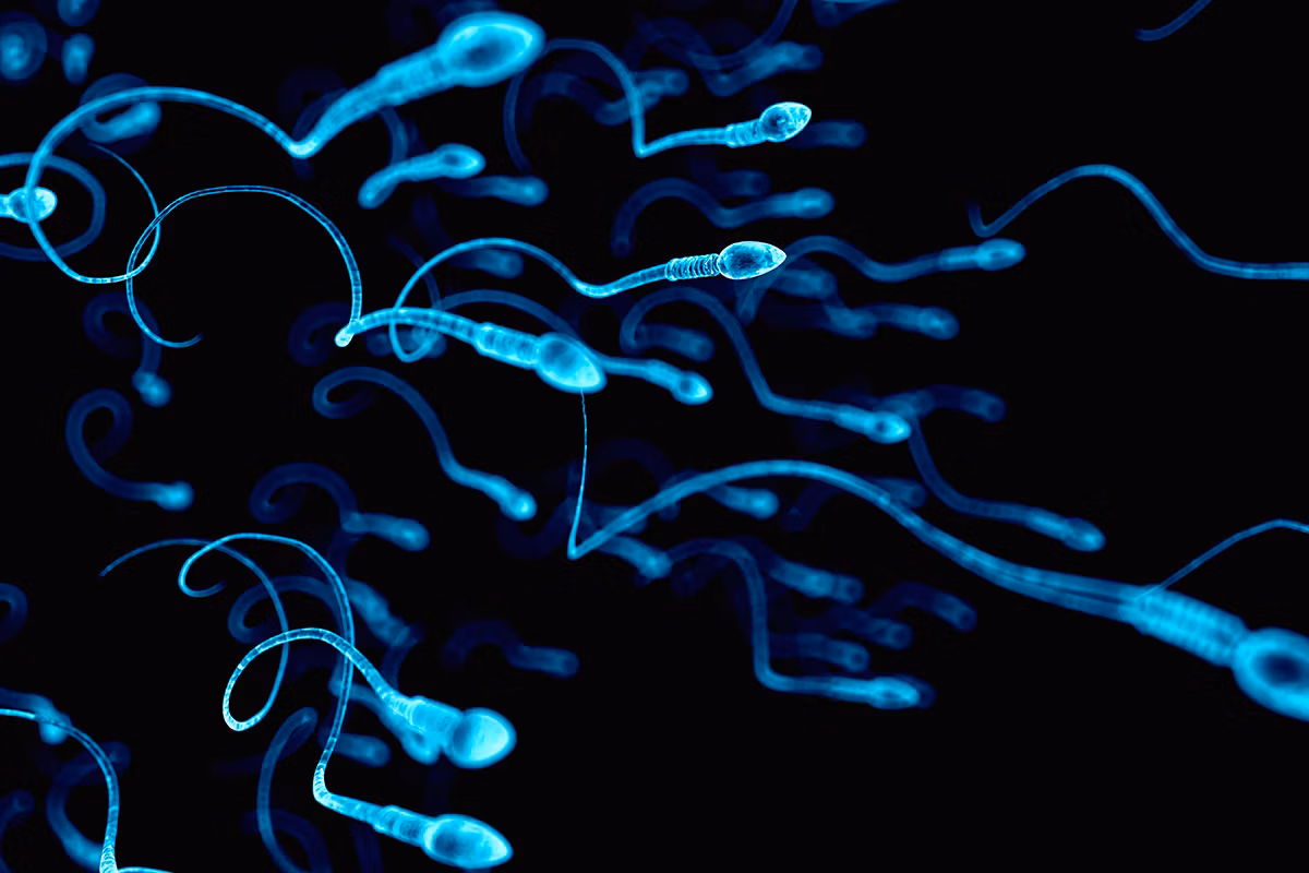 Article: Sperm counts Down over 50%