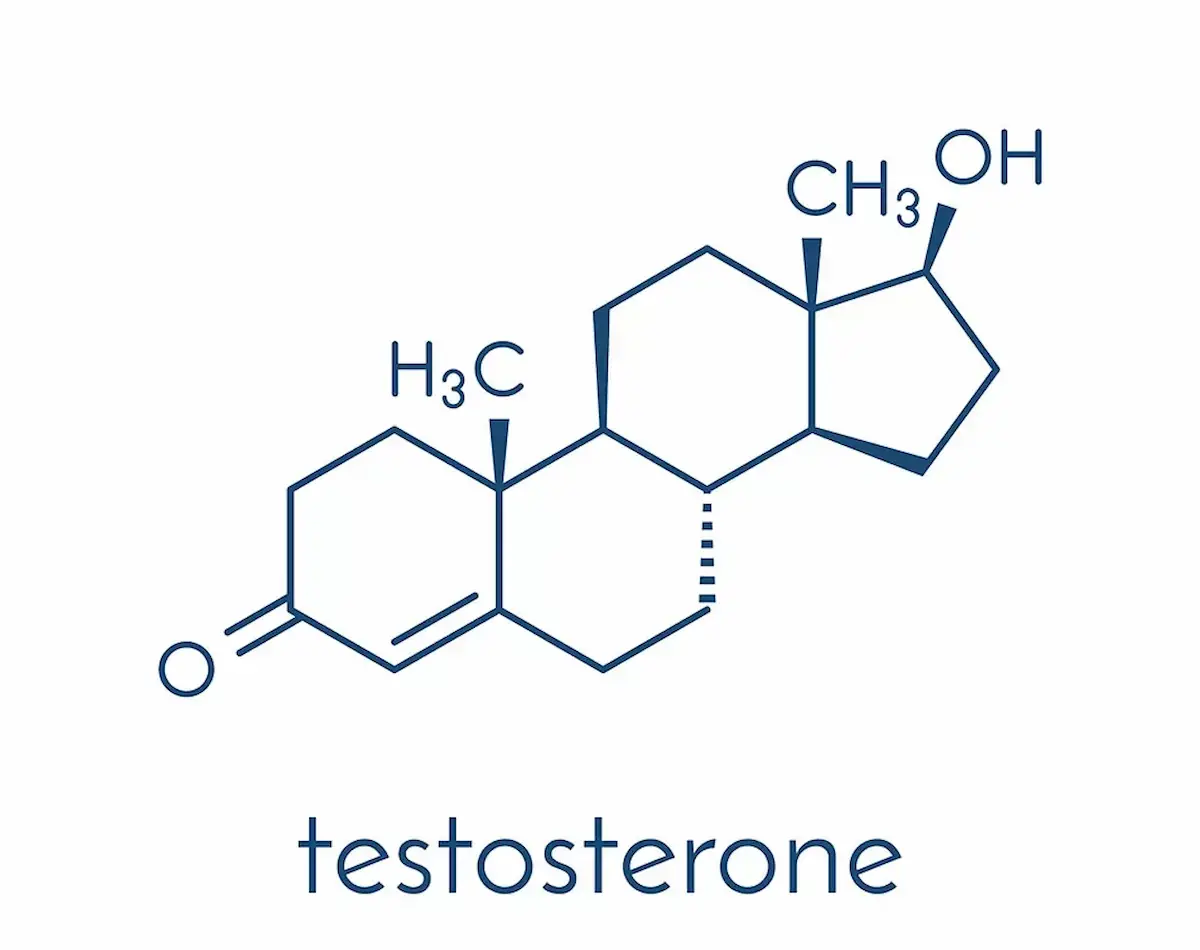 Testosterone easy ways to increase