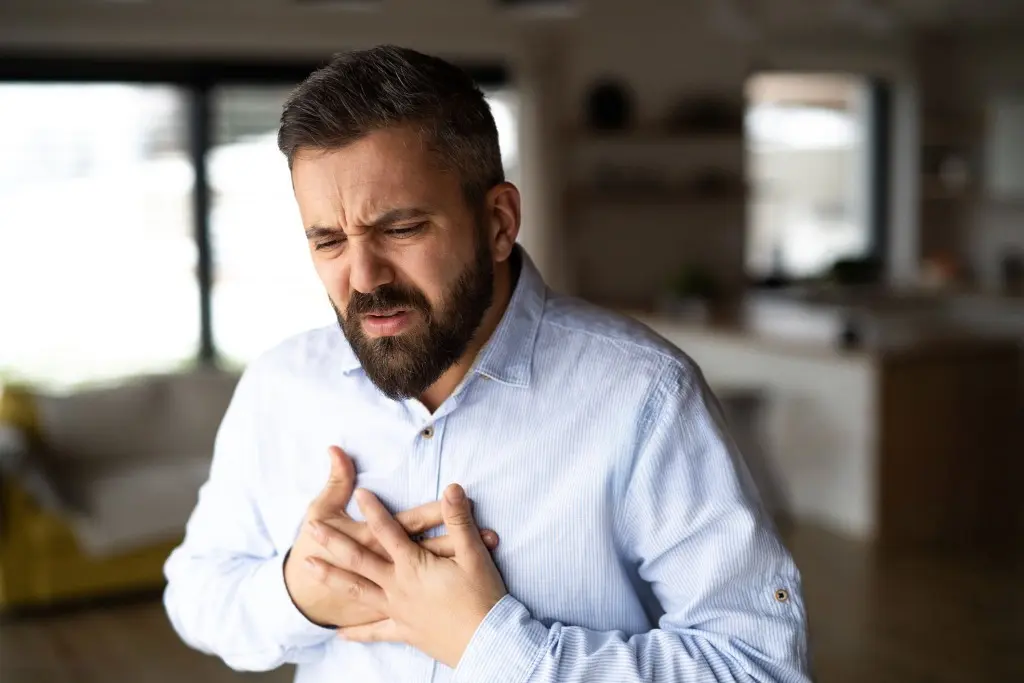 Heart attack risk timeline